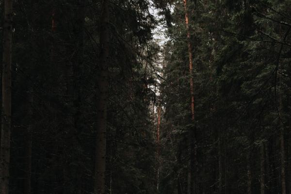 闹闹女巫  年底断舍离，12星座需要抛弃什么累赘