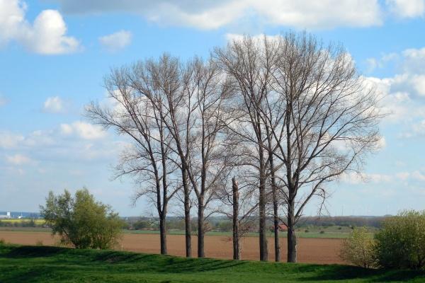 2023年巨蟹女事业运解析走向如何  运势分析