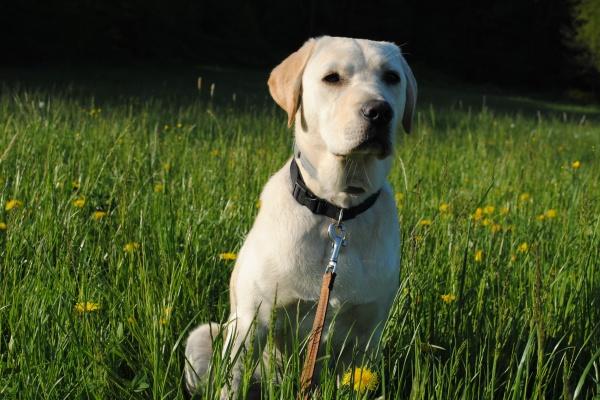 唐立淇  每日星座运势12.9