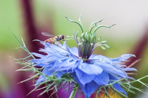 2023年春节期间助力天蝎感情走势的贵人星座