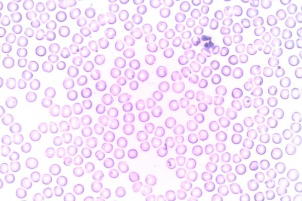 三个字科技感十足的公司名称（精选200个）