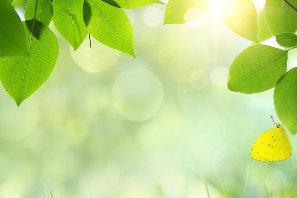 白羊座2023年春节期间提运好物 在哪里最好运  　　