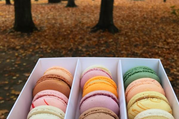 新春佳节，水瓶座2023春节运势出炉