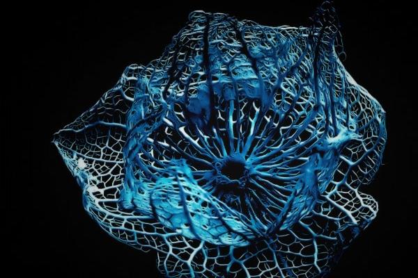 2023年春节期间助力狮子感情走势的贵人星座