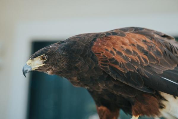 2023年处女女职场运旺不旺详情分析 迎来重大转机