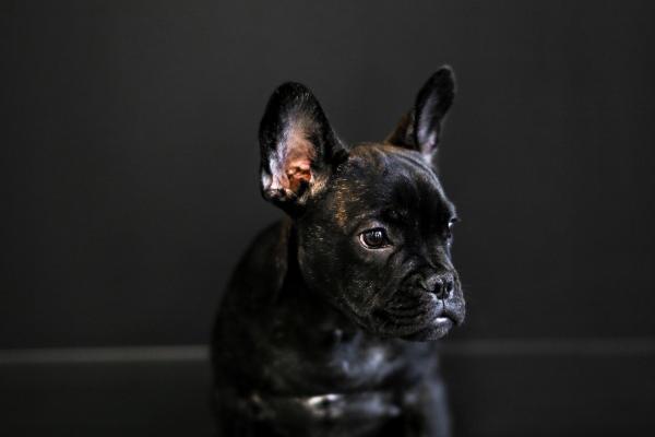 100简单大气的科技公司名字 科技公司名字参考大全