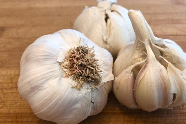 2022年腊月廿六适宜搬家吗 今日搬家则华夏千秋辉