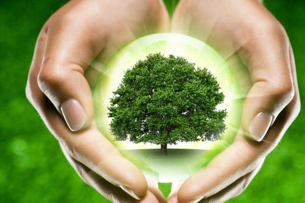 五行缺水取公司名称 寓意聚财的新公司名称