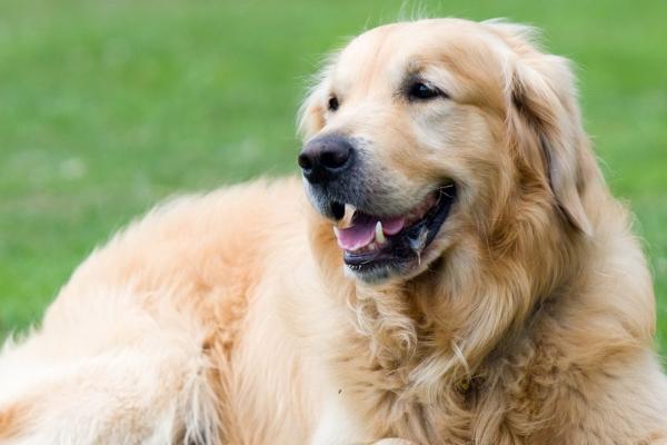 网络科技行业公司起名大全 有创意的公司起名