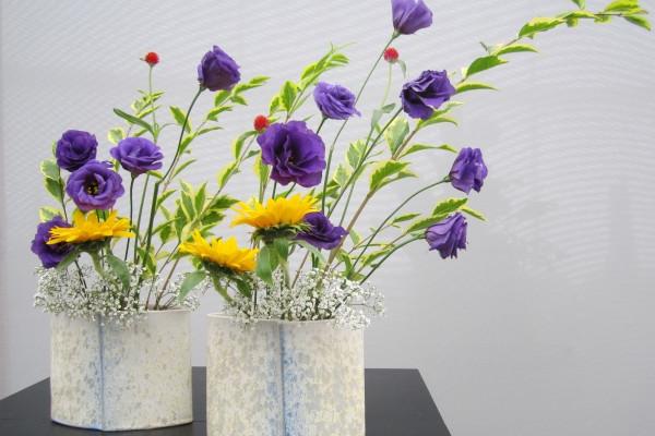 金牛座2023年运势最新 事业运势波动上升