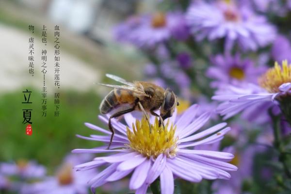 女孩出生在腊月好吗 2022年腊月生的虎宝宝好吗