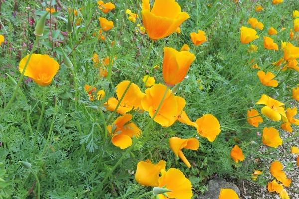 2022年腊月廿四是搬家的最佳日子吗 是否东风送情喜迁新居