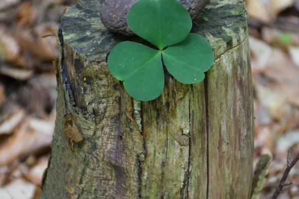 2023年最倒霉的星座男是哪几个 你在里面吗