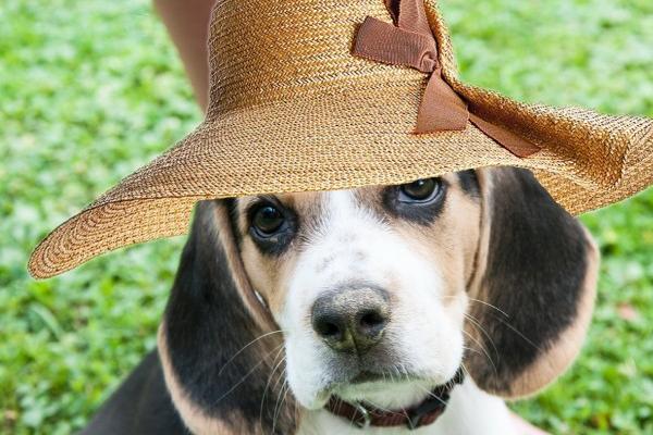 狂月天时 每日星座运势1213