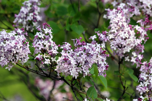 金牛座2023年的运气好不好 家庭和睦轻松