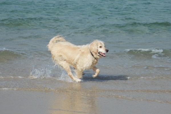 2023年水瓶座春节期间爱情运运势高吗 详细解析