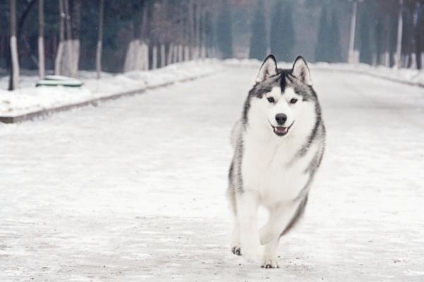 闹闹女巫  这些星座嘴上说没事，心里肯定有事