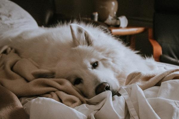 Alex 12星座一周运势(12.12—12.18)