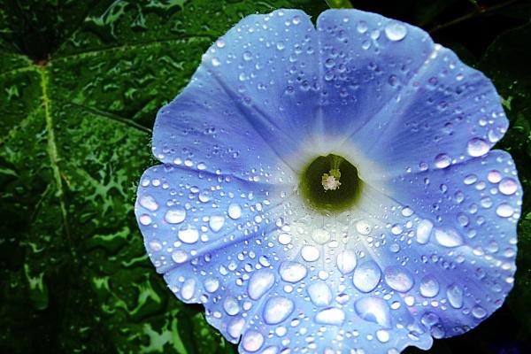 2023年木命的人买车什么颜色 开白色和蓝色的车会顺顺利利