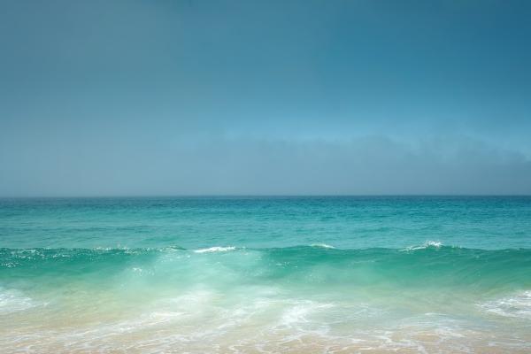 2023年1月份十二星座财富运势排行榜  排名顺序