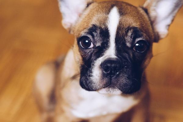 2023年木命开什么颜色的车最好 适合大林木命的颜色分析