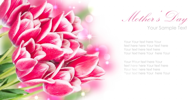 苏珊米勒  每日星座运势12.13