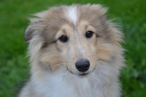 2023年十二星座好运排行榜 第一名出乎意料