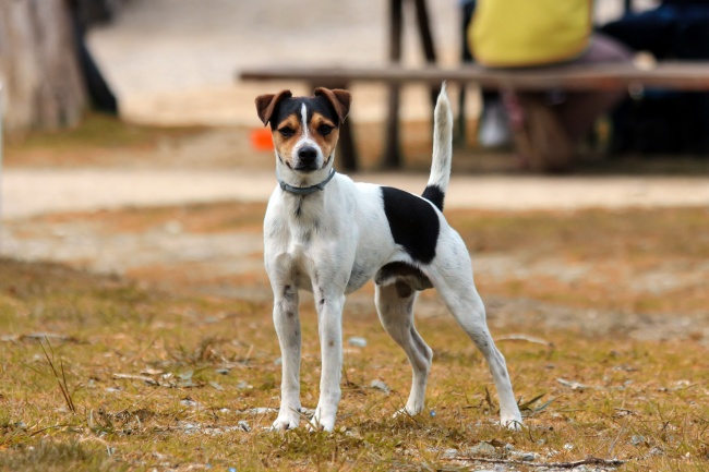 2022年腊月廿七今日可否适宜开张 能否福星高照永灿烂