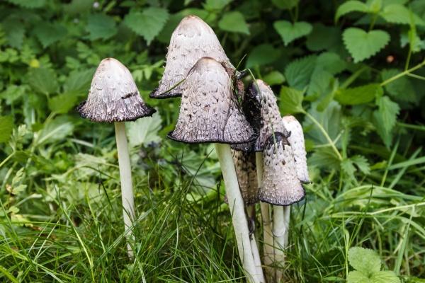 2023年金牛座春节期间爱情运势运程 详细分析