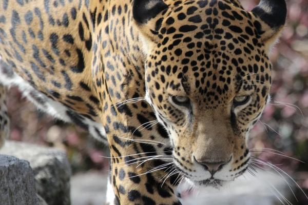 2023年农历正月初三出生的女孩什么命,缺什么五行