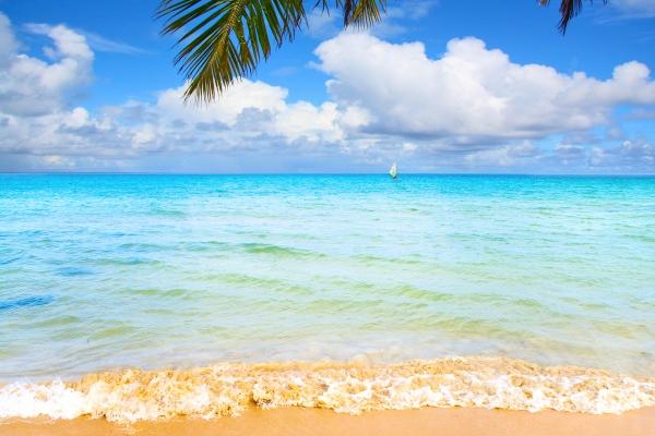 2023年天秤女整体运怎么样具体分析 会有很多的惊喜