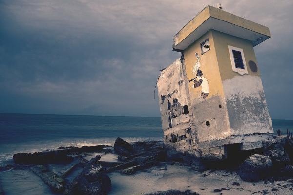 唐立淇  每日星座运势12.14