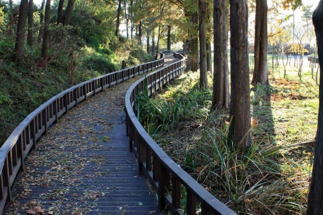 白羊座2023年春节期间助感情幸运色 保持理性沉稳