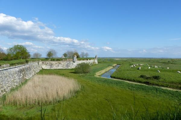 服装公司起名字大全免费 新颖独特的公司名字