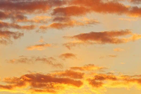 特别让人佩服!这4星座面对流言蜚语,从来都不屑一顾