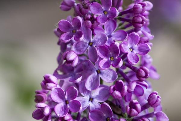 食品经营起什么名字 食品公司取名大全最新版的