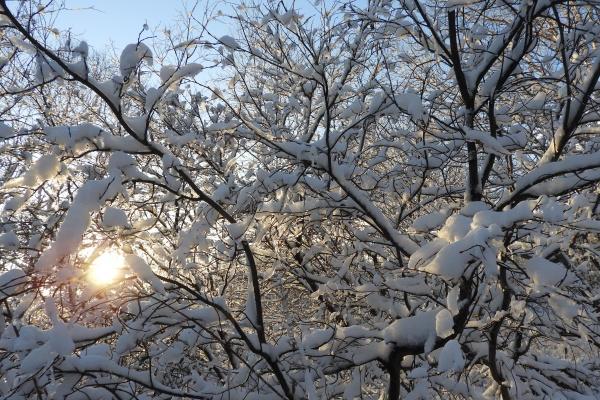 双鱼座2023年运势如何 做好理财 收入可观