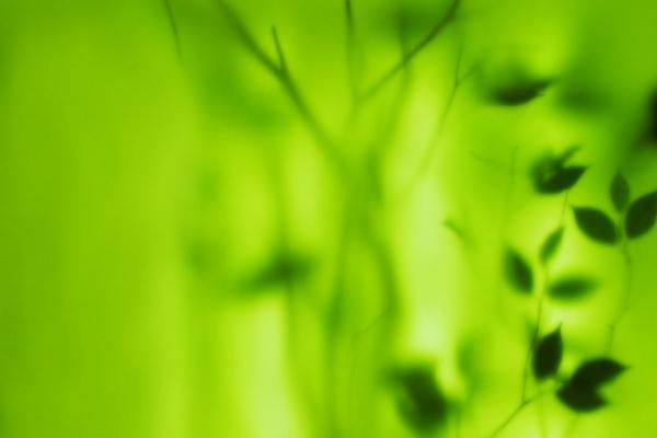 2023水逆期间 双鱼座如何霉运转好运?