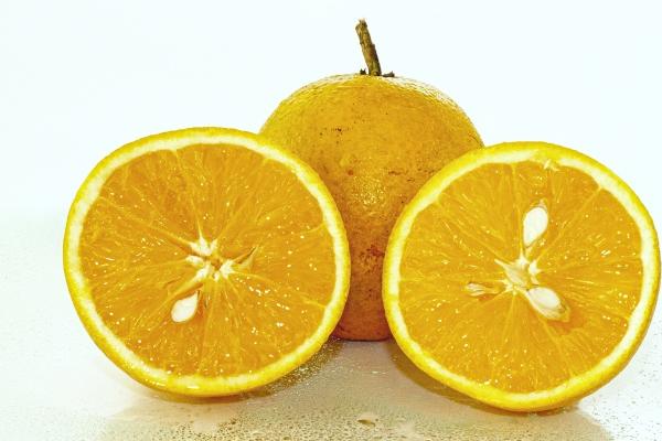 服装公司取名字大全免费四个字（精选200个）