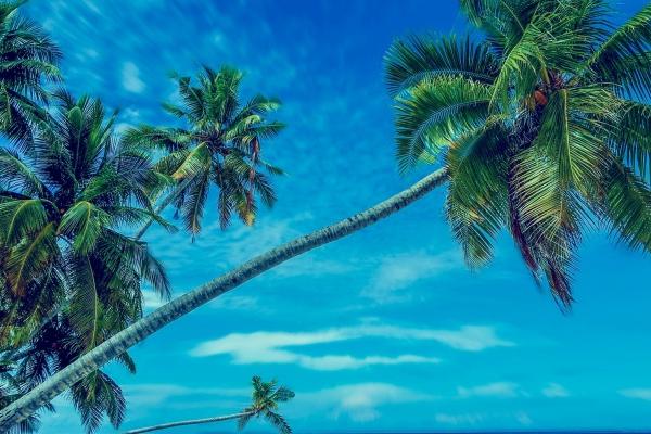 你能读懂他们吗?盘点12星座中最另类的3大星座!