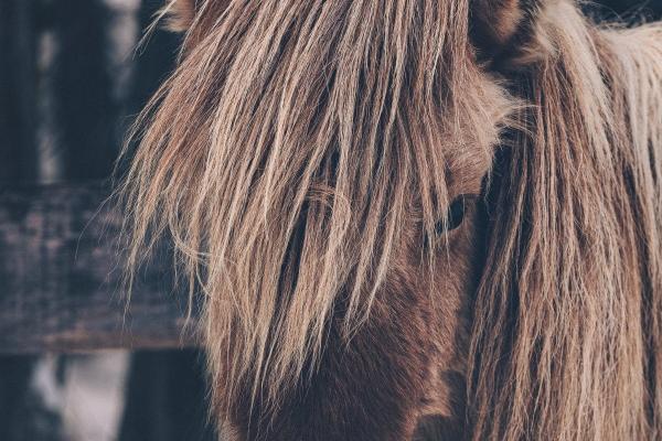 2023年农历正月十九出生的人什么命,五行缺什么