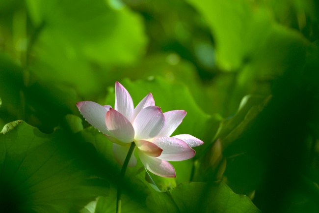 射手座2023年运势男生 感情桃花收获多