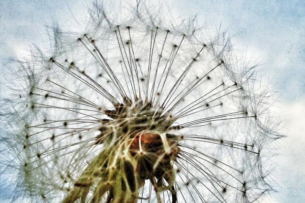 2023年金牛座运势详细 感情迎接新桃花