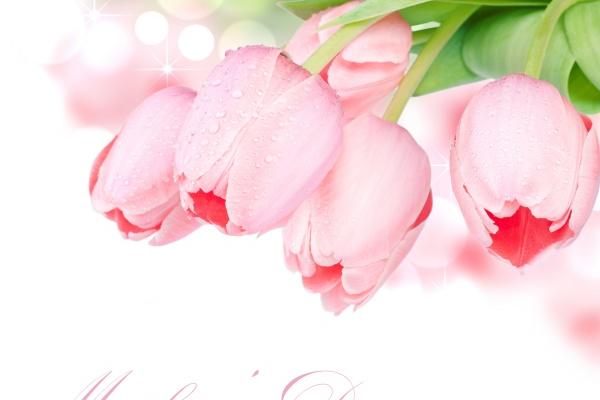 狮子座2023年春节期间提运指南 如何改变