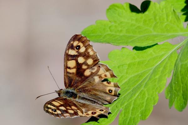 射手座在2023年春节期间的脱单圣地 爱好相似