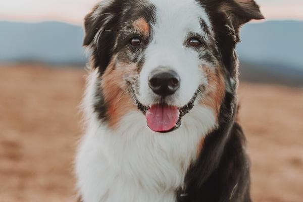 闹闹女巫 12星座今日运势1216