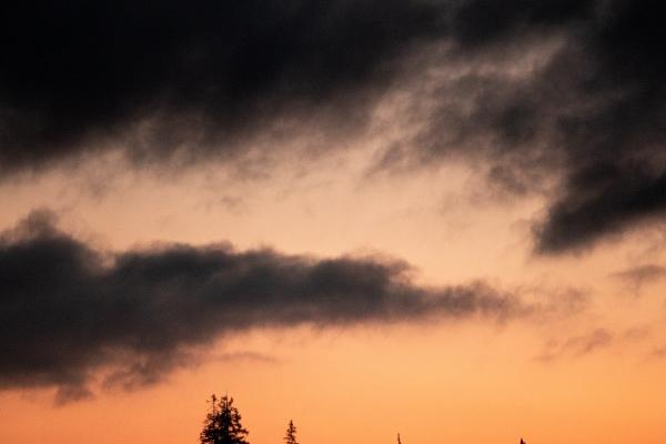 天秤座2023年助感情幸运色春节期间情况 注入无穷能量