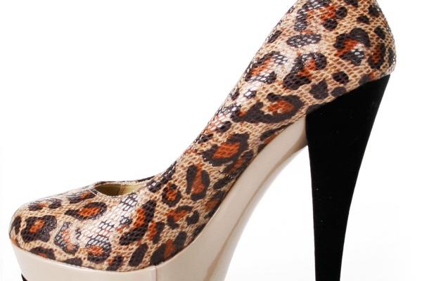 属狗和属鸡经常吵架怎么办 狗配鸡化解不合的三种方法