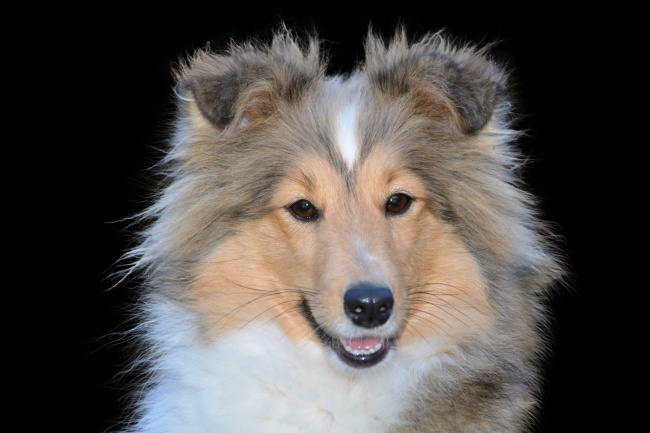 唐立淇 周末运势12.17-12.18