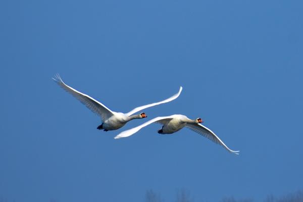 2023年1月7日搬家吉利吗 此日搬家是否春山绿映门